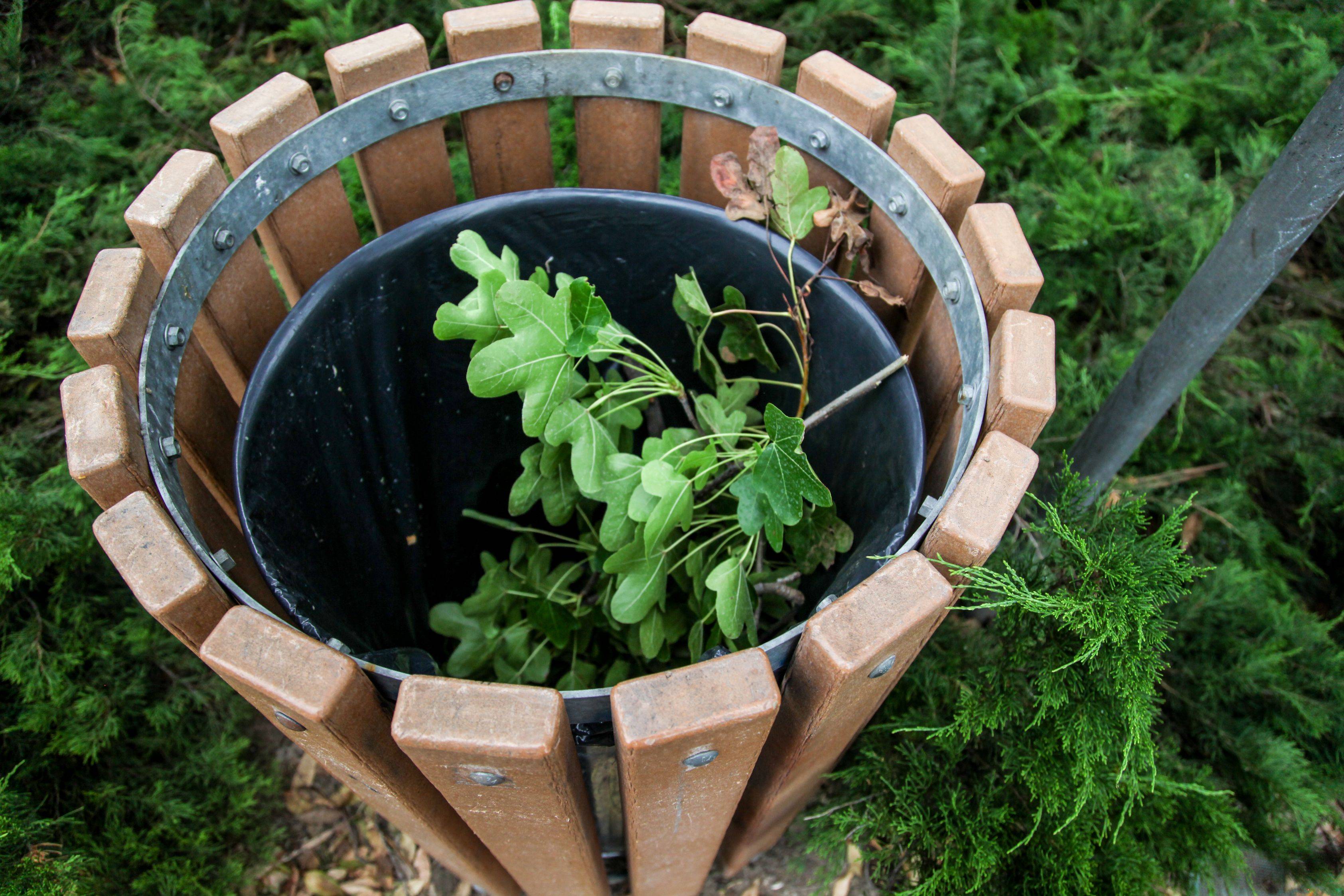 парк после поиска сокровищ, в пакре были спрятаны деньги, поиск денег парк Уиттиер