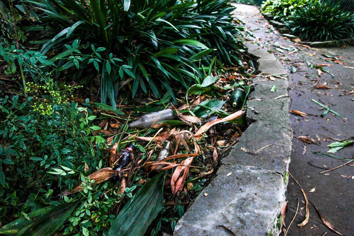 парк после поиска сокровищ, в пакре были спрятаны деньги, поиск денег парк Уиттиер