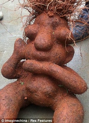 овощи похожи на другое, овощи похожие на людей, овощи похожи на разные вещи