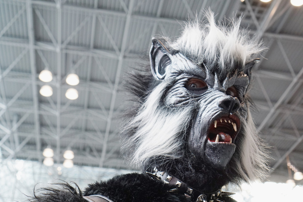 New York Comic Con 2014, косплеи