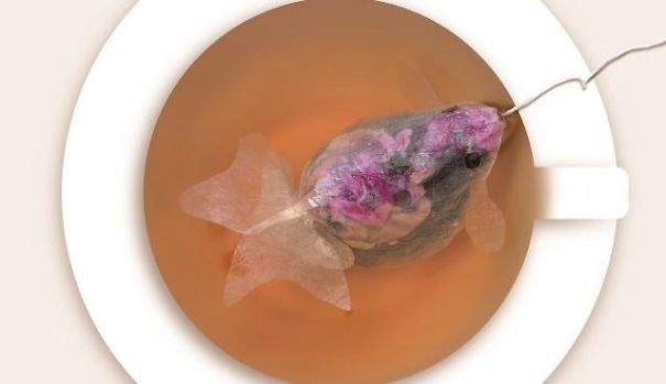 чайное ситечко, Tea Infuser