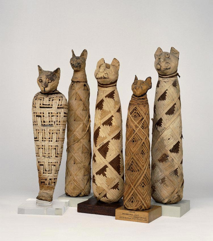 редкие кадры, исторические кадры, архивные фото знаменитостей