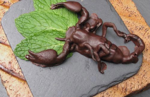 Таких лакомств в шоколаде вы ещё не пробовали, и вряд ли захотите.. насекомые в шоколаде, продаются насекомые в шоколаде, скорпионы в шоколаде, кузнечики в шоколаде