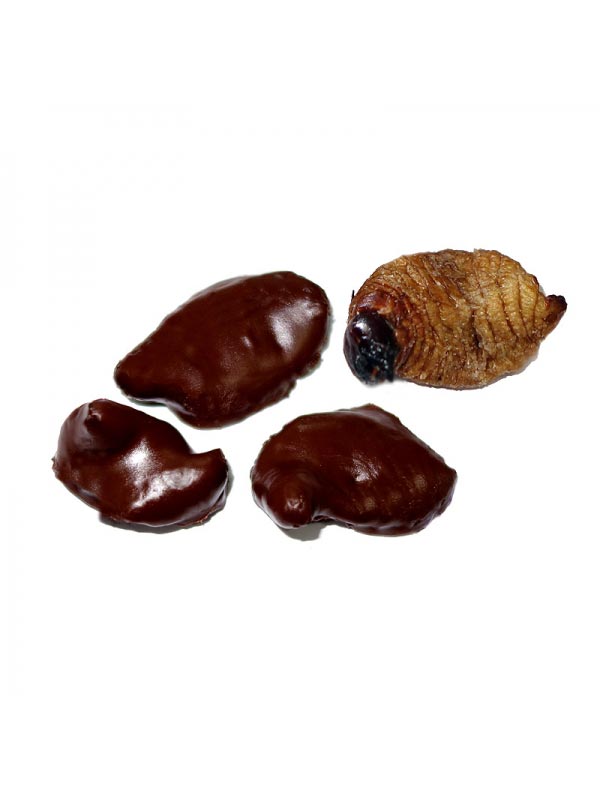 Таких лакомств в шоколаде вы ещё не пробовали, и вряд ли захотите.. насекомые в шоколаде, продаются насекомые в шоколаде, скорпионы в шоколаде, кузнечики в шоколаде