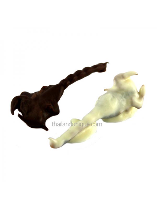 Таких лакомств в шоколаде вы ещё не пробовали, и вряд ли захотите.. насекомые в шоколаде, продаются насекомые в шоколаде, скорпионы в шоколаде, кузнечики в шоколаде