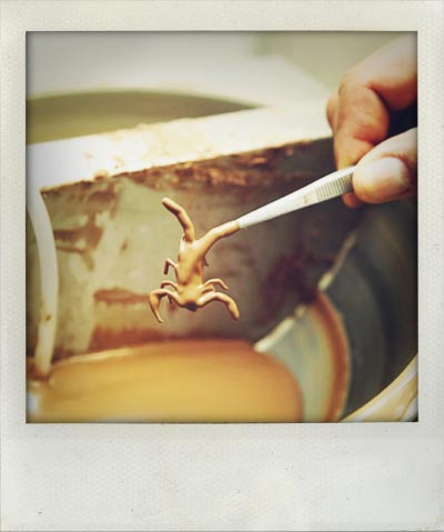 Таких лакомств в шоколаде вы ещё не пробовали, и вряд ли захотите.. насекомые в шоколаде, продаются насекомые в шоколаде, скорпионы в шоколаде, кузнечики в шоколаде