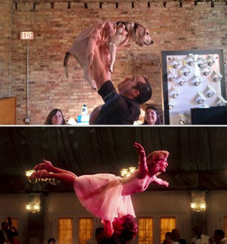 Парень, собака, воссоздаёт, повторяет, ремейк, романтические сцены, культовые фильмы, Reddit, MMSSPP