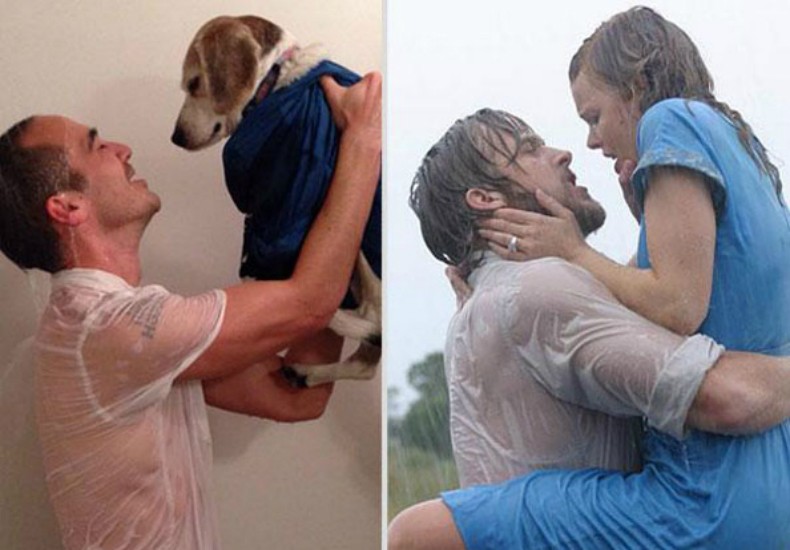 Парень, собака, воссоздаёт, повторяет, ремейк, романтические сцены, культовые фильмы, Reddit, MMSSPP