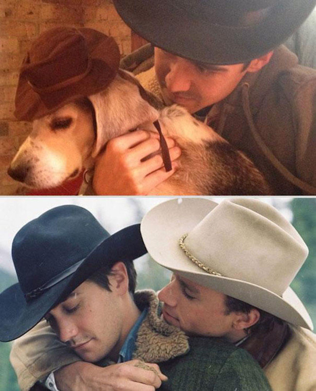 Парень, собака, воссоздаёт, повторяет, ремейк, романтические сцены, культовые фильмы, Reddit, MMSSPP