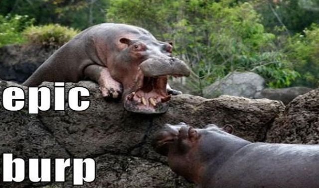 Необычные,традиции, особенности ,застольный этикет, разных стран