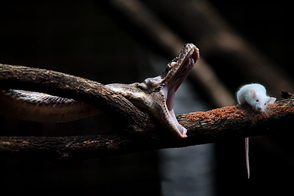 познавательные факты, обо всём на свете, наука, спорим вы не знали