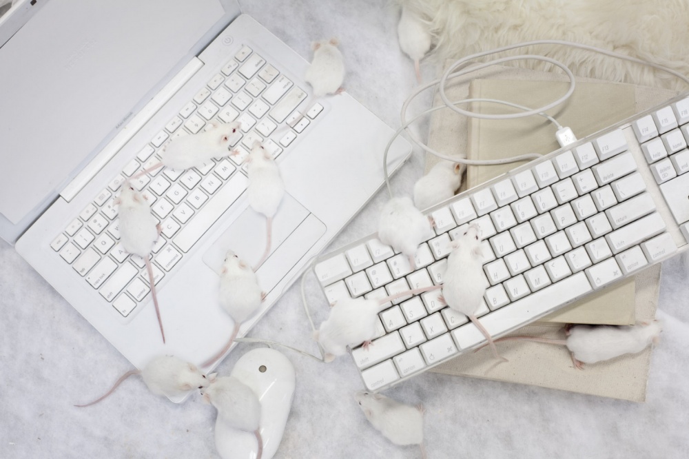 Волшебная арт-инсталляция о чистоте цвета от Эдриен Брум фотопроект, фотограф, «The Color Project», Эдриен Брум, Adrien Broom