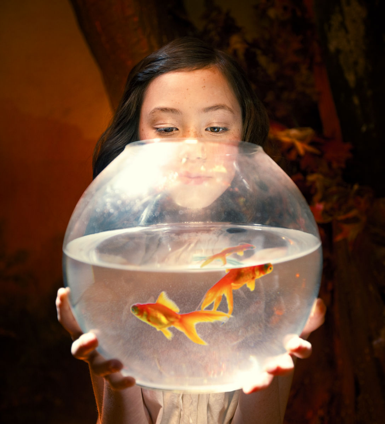 Волшебная арт-инсталляция о чистоте цвета от Эдриен Брум фотопроект, фотограф, «The Color Project», Эдриен Брум, Adrien Broom