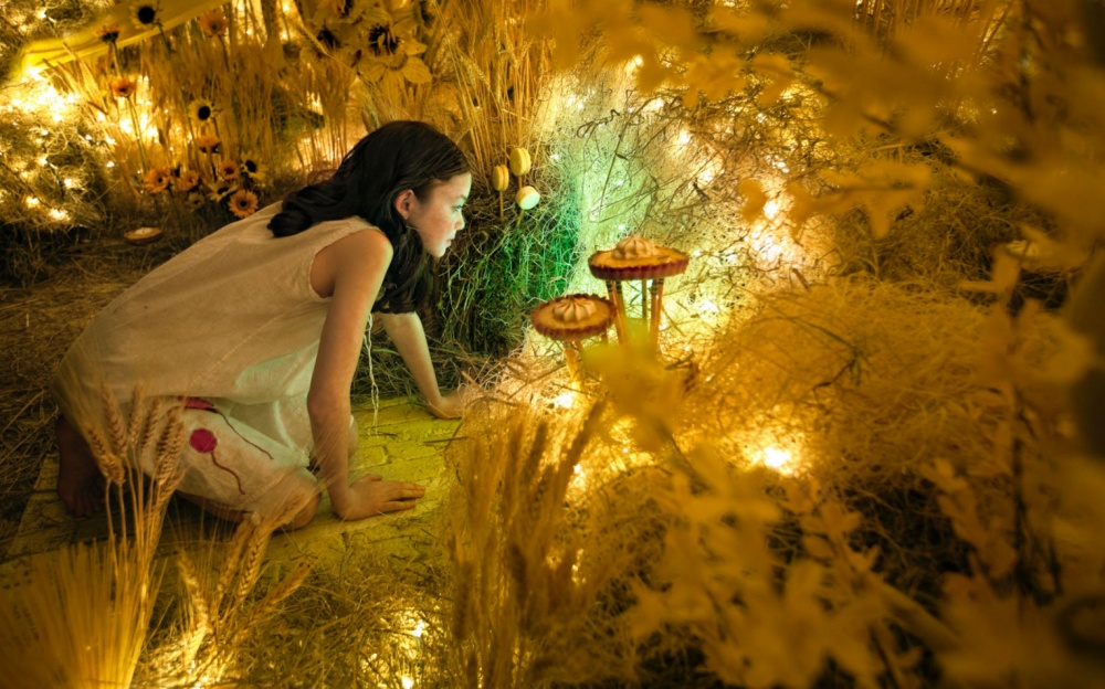 Волшебная арт-инсталляция о чистоте цвета от Эдриен Брум фотопроект, фотограф, «The Color Project», Эдриен Брум, Adrien Broom