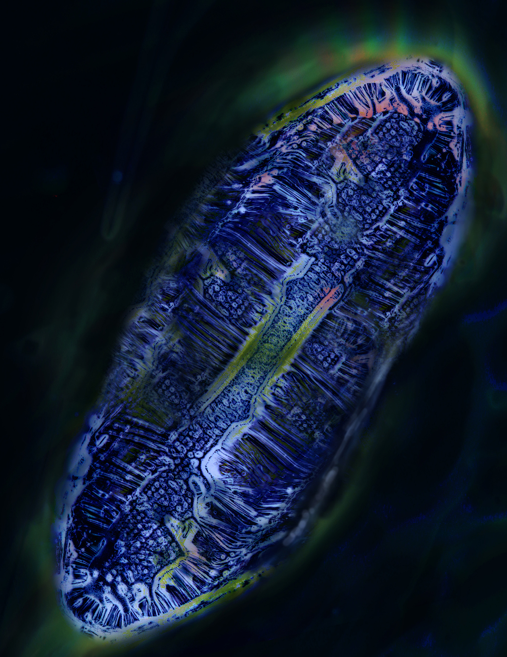 визуализация, наука,Science