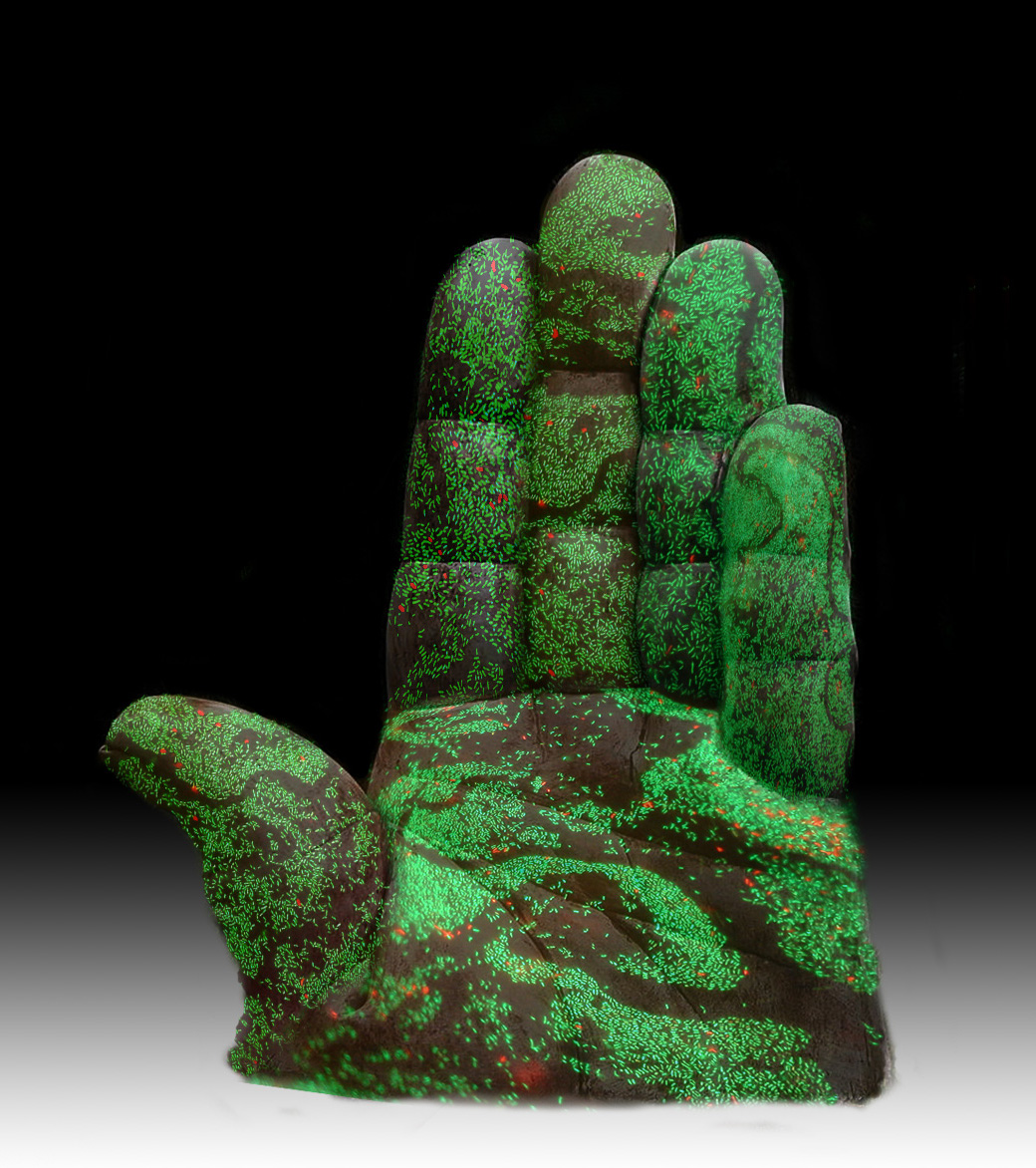 визуализация, наука,Science