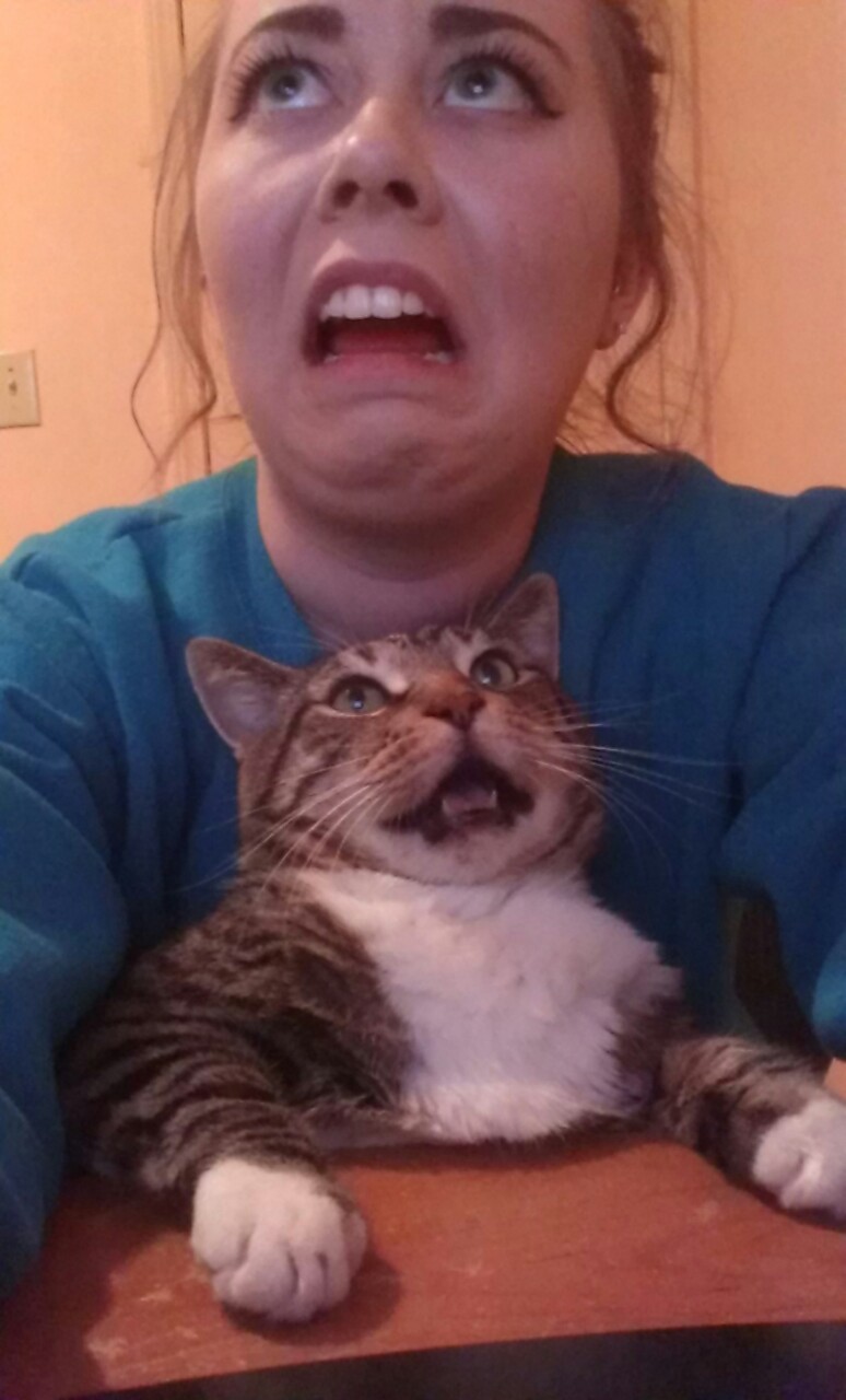 кот и его хозяйка, девушка пародирует кота