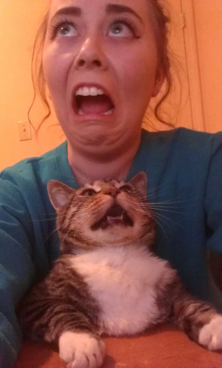 кот и его хозяйка, девушка пародирует кота