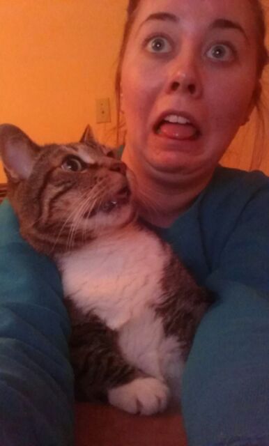 кот и его хозяйка, девушка пародирует кота