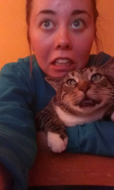 кот и его хозяйка, девушка пародирует кота