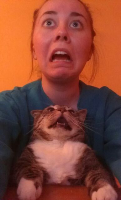 кот и его хозяйка, девушка пародирует кота