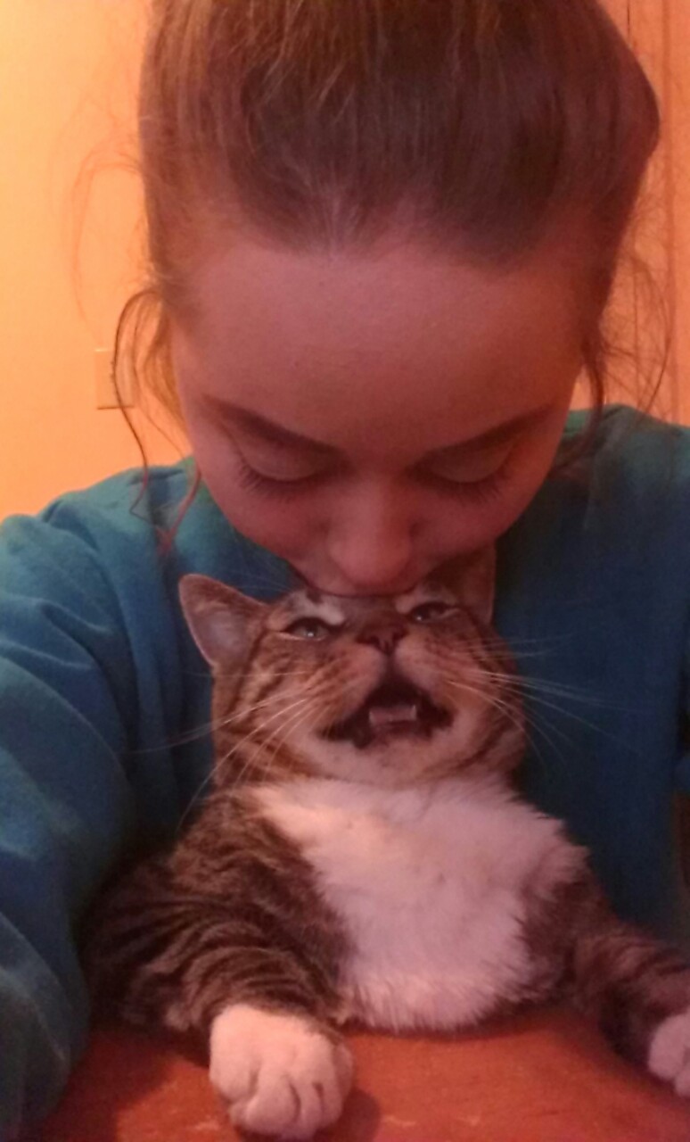 кот и его хозяйка, девушка пародирует кота