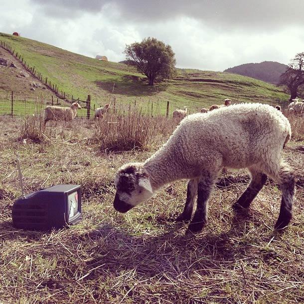 Художник переносит свои забавные иллюстрации в реальный мир иллюстратор Марти Купер, Marty Cooper, иллюстрации в реальном мире, Hombre McSteez
