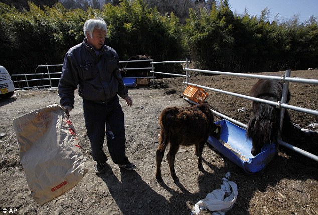 единственный житель Томиока,  радиоактивный человек, Наото Мацумура Naoto Matsumura