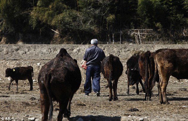 единственный житель Томиока,  радиоактивный человек, Наото Мацумура Naoto Matsumura