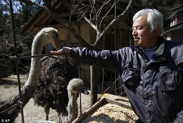 единственный житель Томиока,  радиоактивный человек, Наото Мацумура Naoto Matsumura