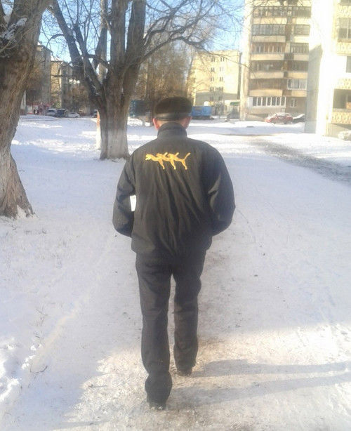 Это уже перебор, подборка фотографий, смешные фото