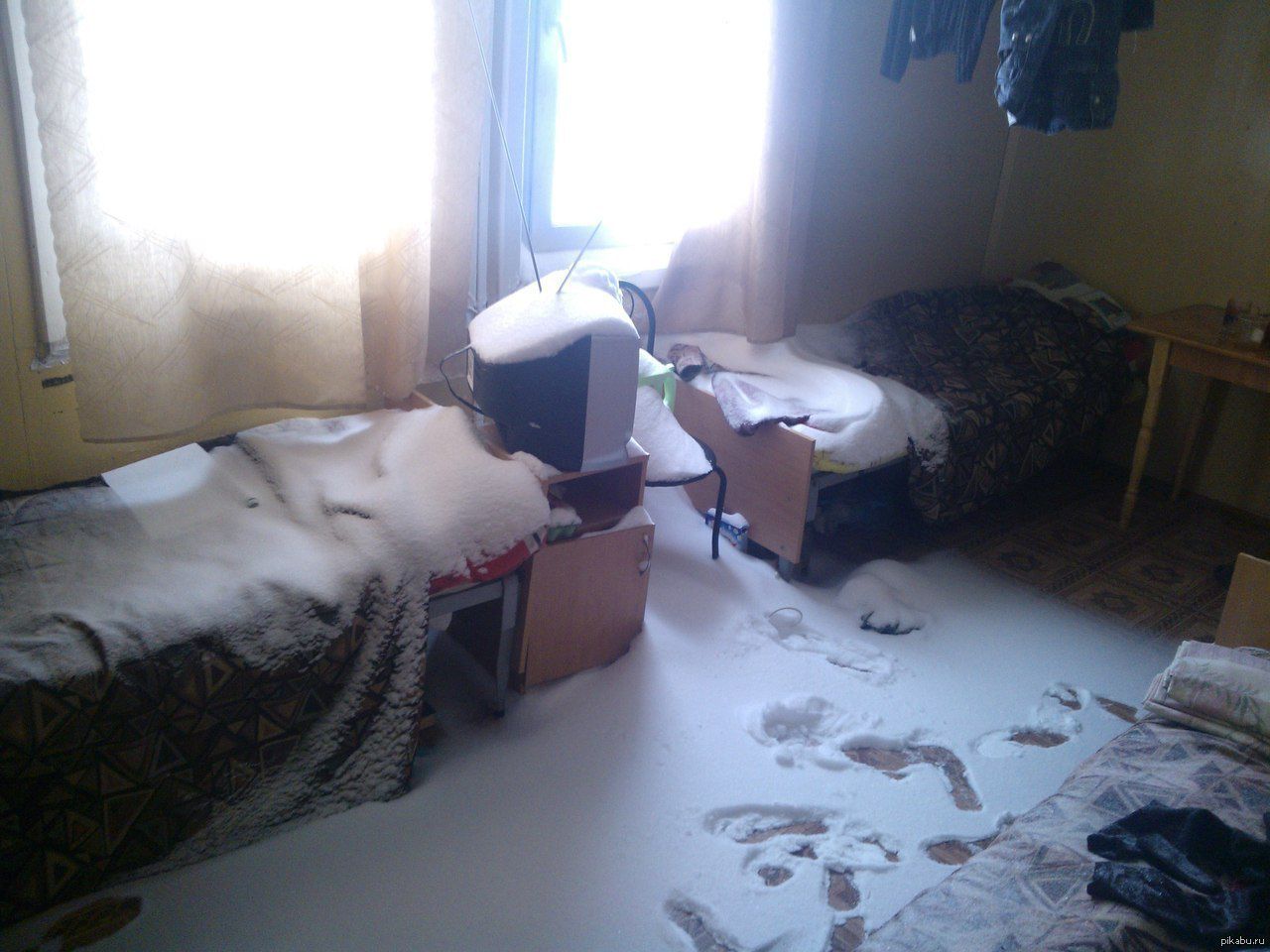 Это уже перебор, подборка фотографий, смешные фото