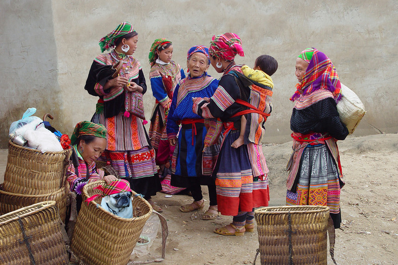 PLANET PUG Michael Sheridan, планета мопс, мопс на рынке