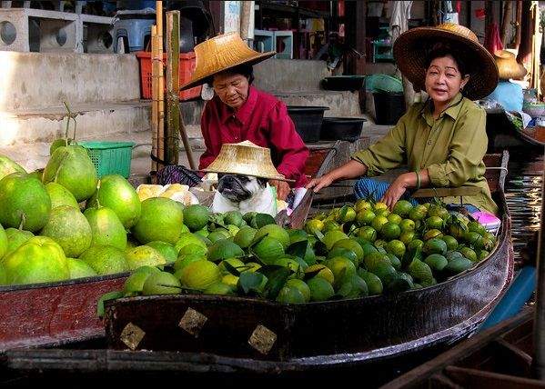 PLANET PUG Michael Sheridan, планета мопс, мопс на рынке