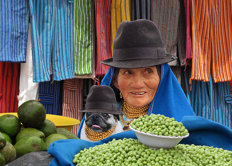 PLANET PUG Michael Sheridan, планета мопс, мопс на рынке