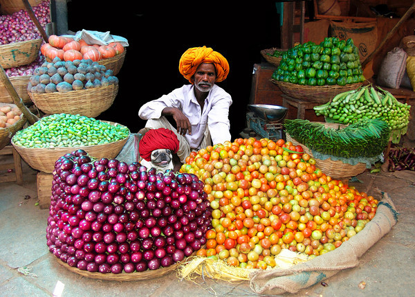 PLANET PUG Michael Sheridan, планета мопс, мопс на рынке