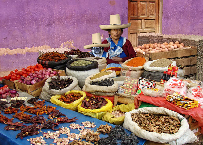 PLANET PUG Michael Sheridan, планета мопс, мопс на рынке