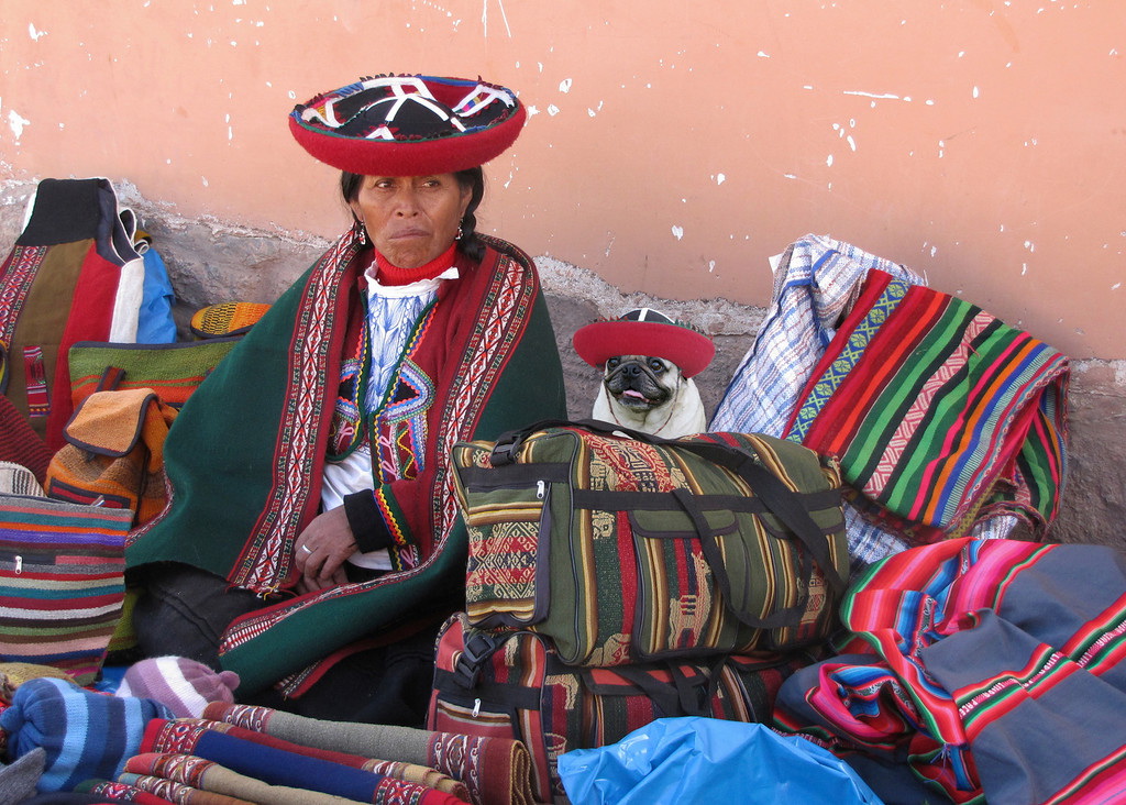 PLANET PUG Michael Sheridan, планета мопс, мопс на рынке