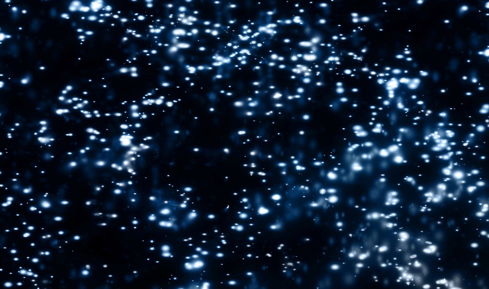 пещера светлячков, пещера Вайтомо, экскурсия в пещеру светлячков