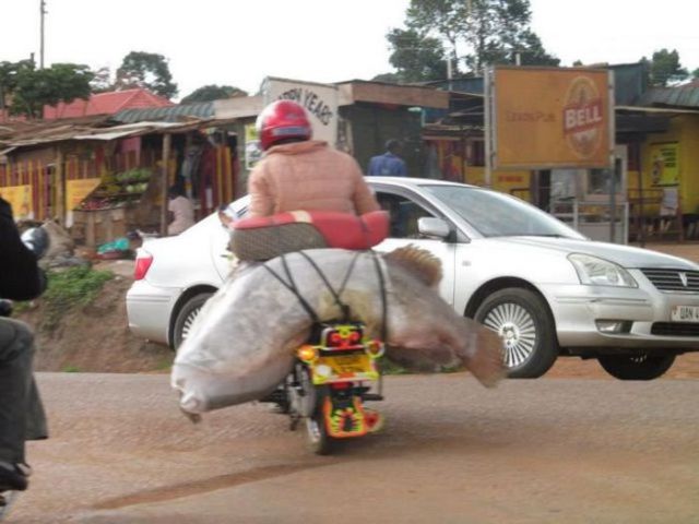 Странности на дорогах II странности на дорогах, странности в пути, чудаки на дороге