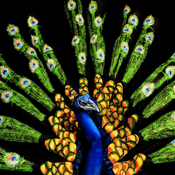 животный боди-арт, боди арт в виде животных