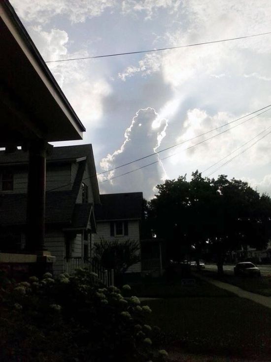 смешные картинки, прикольные картинки, прикол, смех, юмор