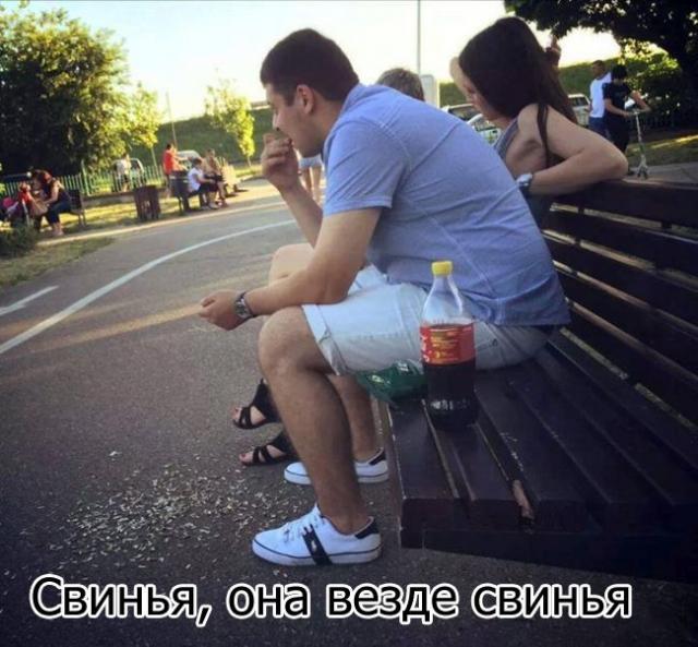 смешные картинки, прикольные картинки, прикол, смех, юмор