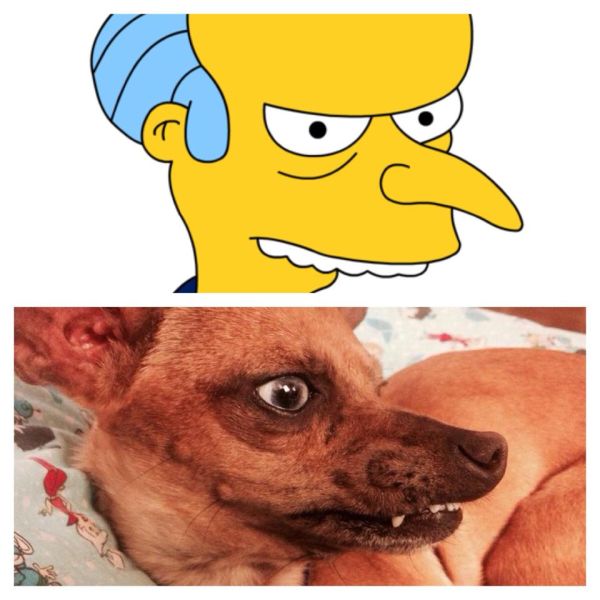 смешные картинки, прикольные картинки, прикол, смех, юмор