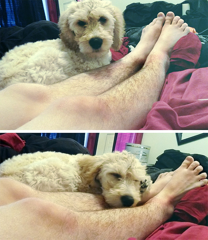 Hairy Legs Club, волосатые женские ноги, небритые ноги, клуб волосатых ног