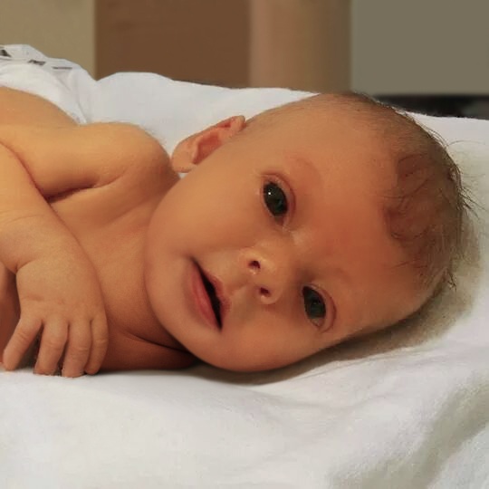 дочь без медицинских трубок, отец попросил убрать трубки дочь, умерла дочь София медицинские трубки, Натан Стэффел, Nathan Steffel