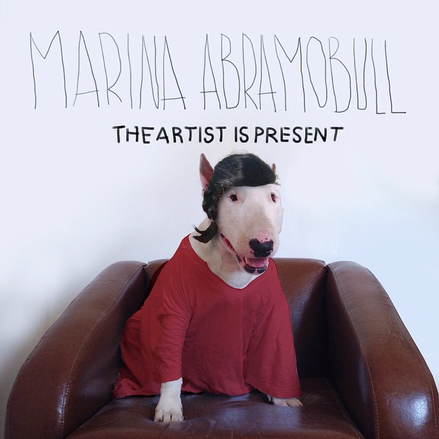 Художник при помощи белой бумаги и маркера, делает своего бультерьера частью смешных картин Бультерьер становится частью картин, Рафаэль Мантессо, Rafael Mantesso, Джимми Чу, Jimmy Choo