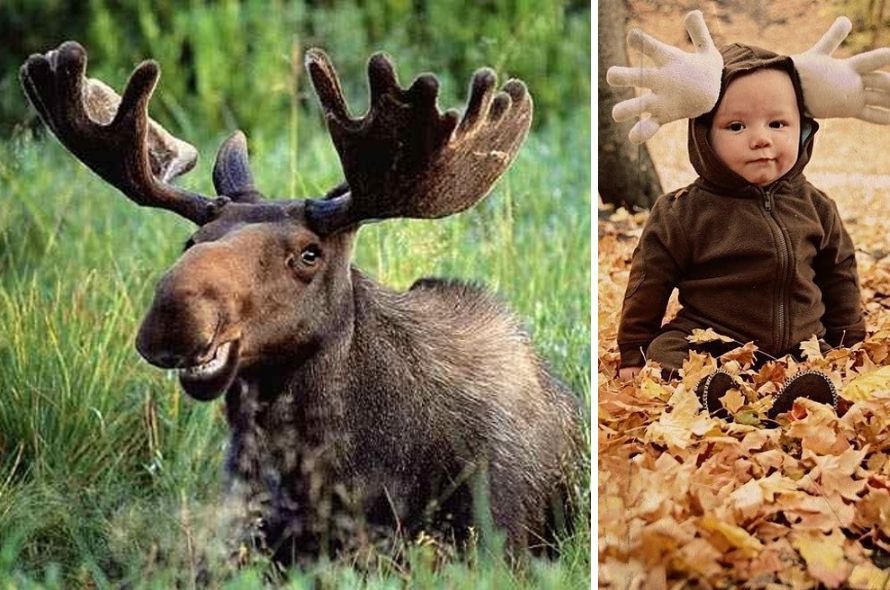 креативны костюмы на хэллоуин, как самому сделать костюм на хэллоуин, необычные костюмы на хэллоуин