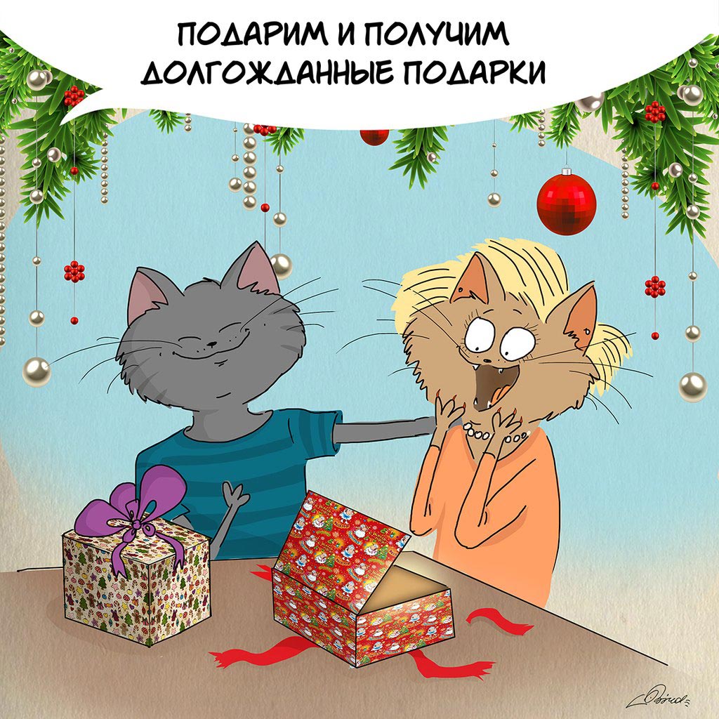 Коты, которые знают, что мы будем делать в преддверии Нового года Совсем скоро мы, Bird Born, коты и новый год