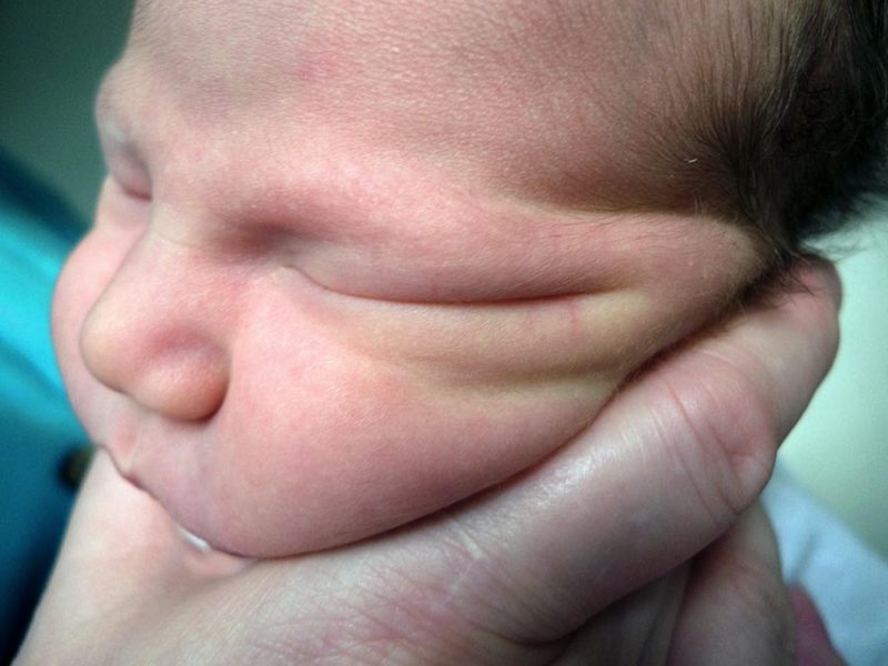 Фотограф,  Филипп Толедано, Phillip Toledano, любовь к дочке, Лулу, Карла